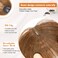 QGZ Clip in Bangs Fake Bangs Hair Clip Fringe with Temples Hairpieces 100% Real Human Hair Extensions Curved Clip On Bangs for Women(Light Brown Wispy Bangs)