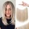 REECHO Invisible Wire Hair Extensions with Thinner Softer Lace Weft 12" Short Straight Clips in Secret Hairpiece for Women 12 Inch (Pack of 1) - Honey Blonde with Highlights