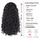AISI BEAUTY Black Curly Ponytail Extension Drawstring Ponytail for Black Women 14 Inch Fake Ponytail Synthetic Ponytail with 2 Clips in(Jet Black)