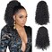 AISI BEAUTY Black Curly Ponytail Extension Drawstring Ponytail for Black Women 14 Inch Fake Ponytail Synthetic Ponytail with 2 Clips in(Jet Black)