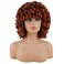 andromeda Auburn Wigs for Black Women Soft Short Big Curly Wig with Bangs Afro Loose Cute Curly Heat Resistant Natural Looking Synthetic Wig for African American Women(350#)