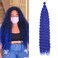 Ocean Wave Crochet Hair 30 inch 1 Pack Long Blue Deep Wave Curly Braiding Hair Soft Synthetic Curly Crochet Hair For Black Women(30 Inch, BLUE）