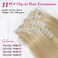 REECHO Hair Extensions, 11PCS Clip in Hair Extensions 24" Long Straight hair extensions HE005 Natural Soft Synthetic Hairpieces for Women &ndash; Golden Blonde with Highlights