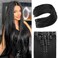 REECHO Hair Extensions, 11PCS Clip in Hair Extensions 24" Long Straight hair extensions HE005 Natural Soft Synthetic Hairpieces for Women &ndash; Black