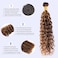 Water Wave Human Hair Bundles Ombre Honey Blonde Curly Bundles, P4/27 Highlighted Wet And Wavy Human Hair Bundles Weave Brown Piano Color, Soft &amp; Shed-free 10A 100% Virgin Hair 3 Bundles 12 14 16 Inch