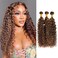 Water Wave Human Hair Bundles Ombre Honey Blonde Curly Bundles, P4/27 Highlighted Wet And Wavy Human Hair Bundles Weave Brown Piano Color, Soft &amp; Shed-free 10A 100% Virgin Hair 3 Bundles 12 14 16 Inch