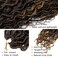 LIYATE Goddess Locs Crochet Hair 10 Inch 6 Packs Faux Locs Crochet Hair for Kids Pre Looped Soft River Locs Crochet Braids with Curly Hair Bohemian Hippie Locs Synthetic Hair Extensions(T1B/27)