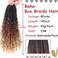 Beverlee Goddess Box Braids Crochet Hair 14 Inch Boho Box Braids 8 Packs Crochet Hair Bohemian Box Braids Crochet Braids Box Braids Curly Ends Messy Pre-looped Synthetic Curly Crochet Hair for Women