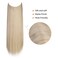 REECHO Invisible Wire Hair Extensions with Transparent Headband Adjustable Size Removable Secure Clips in Straight Secret Hairpiece for Women (14 Inch (Pack of 1), Medium Blonde with Pale Highlights)