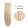 REECHO Invisible Wire Hair Extensions with Transparent Headband Adjustable Size Removable Secure Clips in Straight Secret Hairpiece for Women (16Inch (Pack of 1), Light Blonde)