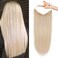 REECHO Invisible Wire Hair Extensions with Transparent Headband Adjustable Size Removable Secure Clips in Straight Secret Hairpiece for Women (16Inch (Pack of 1), Light Blonde)