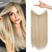 REECHO Invisible Wire Hair Extensions with Transparent Headband Adjustable Size Removable Secure Clips in Straight Secret Hairpiece for Women (20 Inch (Pack of 1), Medium Blonde with Pale Highlights)