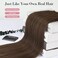 REECHO Invisible Wire Hair Extensions with Transparent Headband Adjustable Size Removable Secure Clips in Straight Secret Hairpiece for Women (16 Inch (Pack of 1), Medium Brown with Highlights)