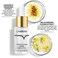 LANBENA Pore Minimizer Serum, Pore Minimizer &amp; Reducer for Face, Minimizing, Shrinking, Oil Control Firming, Tightening Pores, 100% Vegan Pore Moisture after Blackhead Remover, 0.5 fl.oz