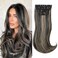 Black Mix Blonde Long Straight Hair Extensions Layered Hair Extensions Soft Synthetic Clip in Hair Extensions Hairpieces for Women(2/18)
