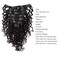 Anrosa Water Wave Clip in Hair Extensions Human Hair Natural Black 1B Double Weft Water Wave Curly Clip ins Extensions for Black Women Clip on Wave Hair Extension 14 Inch 120 Gram