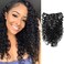 Anrosa Water Wave Clip in Hair Extensions Human Hair Natural Black 1B Double Weft Water Wave Curly Clip ins Extensions for Black Women Clip on Wave Hair Extension 14 Inch 120 Gram