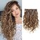 Loxxy Clip in Human Hair Extensions #P4/27 Dark Brown Mixed with Caramel Blonde Natural Wave Real Human Hair Extension 14inch Double Weft 7Pcs/lot And 17 Clips Per Pack 120g/set