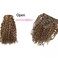 Loxxy Clip in Human Hair Extensions #P4/27 16inch Afro Jerry Curly 3B and 3C Real Hair Clip in Extensions 8A Grade Double Weft 7Pcs/lot And 17 Clips Per Pack 120g/set
