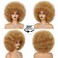 Short Afro Puff 70s Wigs for Black Women Glueless Wear and Go Wig Fluffy Shoulder Length Heat Resistant Bouncy Colorful Wig and Synthetic Wigs (27/30#)