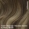 HOTBANANA Human Hair Clip in Hair Extensions, Balayage Chocolate Brown with Honey Blonde 120g Clip in Hair Extensions Real Human Hair Straight Remy Hair Clip Ins Dark Roots Ombre 16 Inch 7pcs