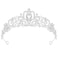 CIEHER Silver Tiara Crowns for Women Girls Princess Crown Tiaras for Women Bridal Wedding Prom Quinceanera Birthday Crown Christmas Crown Gifts Hair Accessories for Women Girls