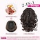 REECHO 9" Short Ponytail Extension, Classic Loose Curly Wavy Claw Clip Pony tails Hair Extensions HP001 Hairpieces for Women - Dark Brown with Highlights