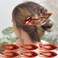 RC ROCHE ORNAMENT 6 Pcs Womens French Concord Curved Hair Clip No Slip Strong Grip Comfortable Hold Girls Ladies Beauty Accessory Pin Teeth Clamp, Large Brown