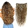 Curly Human Hair Clip in Extensions 7pcs with 16 Clips Healthy Wavy Clip Hair Extensions Real Human Hair 120g18 Inch Dark Brown Highlighted Honey Blonde Soft Thick Curly Hair Extensions