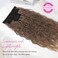 REECHO Clip in Hair Extensions, 5PCS Ash Blonde Hair Extensions 24" Thick Long Loose Waves hair extensions HE002 Invisible Lace Weft &ndash; Dark Ash Blonde with Golden Ends