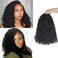 14 Inch 9 Packs Yanky Twist Crochet Hair Pre-Twisted Curly Braiding Hair Extensions Pre-looped Senegalese Twist Braids Synthetic Curly Crochet Hair For Black Women(14inch, 9pack, 1b)