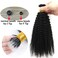 ZigZag Hair Afro Kinky Curly F Tips Microlink Human Hair Extensions 1g/strand 100g Plastic Fearther F Tips Bundles 4B 4C Nano Ring I Tip for Black Women (18 Inch, 4B 4C)