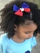 Haiti Flag Hair Bow Girls Women Hair Accessories Cultural Multicultural School Events QXP Shop