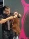 Luxury Boar Bristle Hair Styling Brush - Detangle, Smooth, &amp; Shine for Healthy Hair - Perfect for Extensions, Updos, Blowdrying, &amp; Frizz-Free Styling - Real Wood &amp; Boar Bristles for Glossy Results