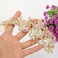 EVER FAITH Women's Bridal Hair Accessories Austrian Crystal Zircon Flower Leaf Cluster Bride Side Comb Clear Gold-Tone