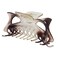 Women's Jumbo Jaw Clip Extra Large Marbelized Hair Claw (Glitter Brown)