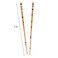 Set of 2 Hair Sticks with 3 Diamonds Chopsticks - Tortoise Shell