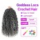 New Goddess Locs Crochet Hair 14Inch 8Packs Pre Looped Faux Locs Crochet Hair Bohemian Crochet Braids Hair for Black Women TGrey