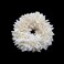 Artificial Jasmine Gajra Hair Band Scrunchie White (Pack of1) Gajra Band For Wedding Party Festival, Dance