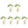 Beaupretty 6 Pieces Jade Flower Hair Pin Chinese Hair Stick Jade Hairpin Retro Chignon Pin Traditional Classical Flower Hair Chopstick Hair Styling Accessories for Women Girls (Green)