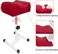 Pedicure Stand Stool Footrest Stand Adjustable Height Technician SPA Beauty Stand Stool with Non-Slip SPA Salon Home Equipment (Red)
