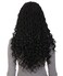 Andrea Curly Long 4X4 Hand Tied Lace Braid Braided Wig (Natural Black)