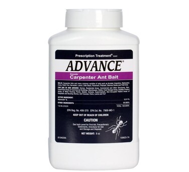 BASF Advance Carpenter Ant Bait Granules, Ready to Use Indoor or Outdoor, Attracts and Controls Ants, 8 oz
