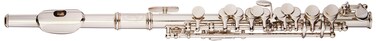 Sky(Paititi) Band Approved Nickel Plated with Silver Keys Piccolo Key of C with Hard Case, Cloth, Cleaning Rod, Joint Greasae and Screw Driver, Guarantee Top Quality Sound