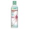 Mosquito Fogger, 14 oz. Aerosol Spray Can