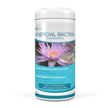 Aquascape Beneficial Bacteria Concentrate for Pond and Water Features, 1.1-Pound   98950