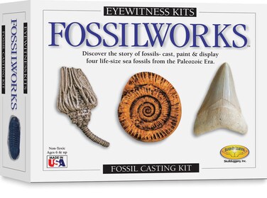 Skullduggery Eyewitness Kit Fossilworks Casting Kit