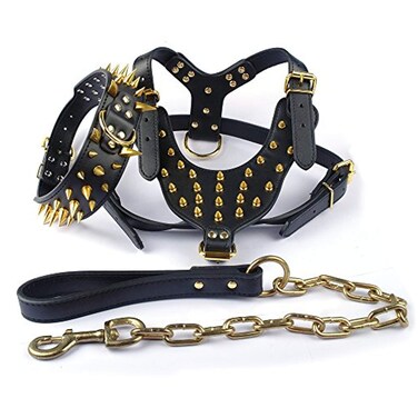Didog Black Golden Rivets Spiked Studded Leather Dog Pet Collar(Sharp Rivets) &amp; Harness &amp; Leash 3Pcs Matching Set for Pitbull Boxer