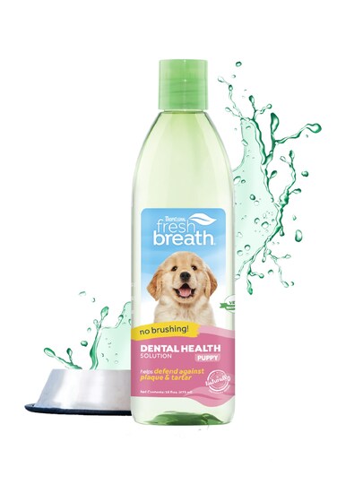 TropiClean Fresh Breath Water Additive for Puppies   Breath Freshener and Teeth Cleaning Solution   No Toothpaste or Toothbrush Required   16oz.