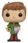 Funko Scooby Doo Shaggy Pop Animation Figure
